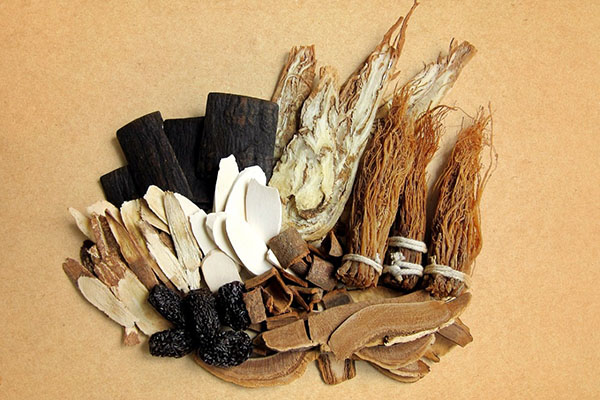 中藥專業(yè)
